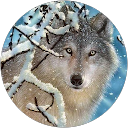 Regine L. profile picture